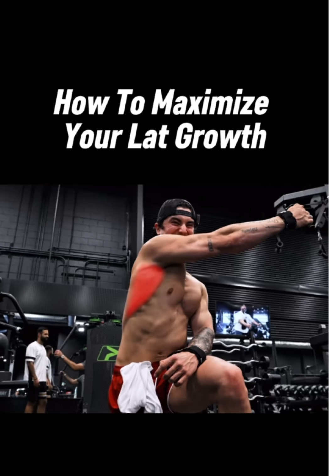 @theschoolofgains