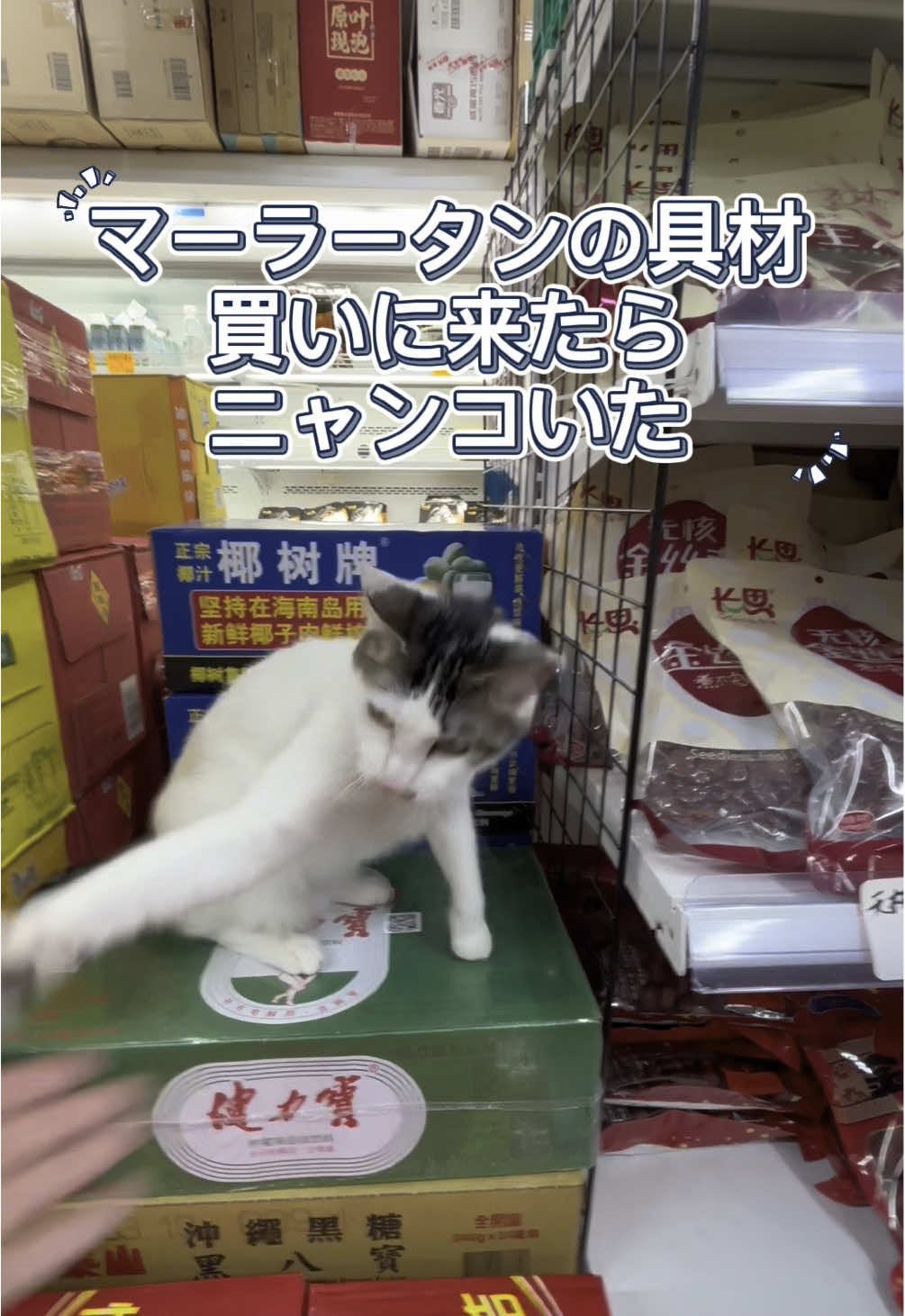 @牛骨ネキ