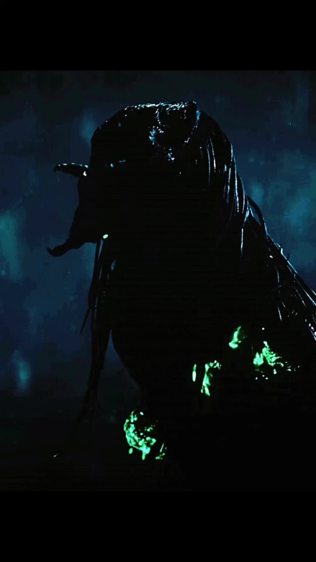 @PredatorWolf.Chileno