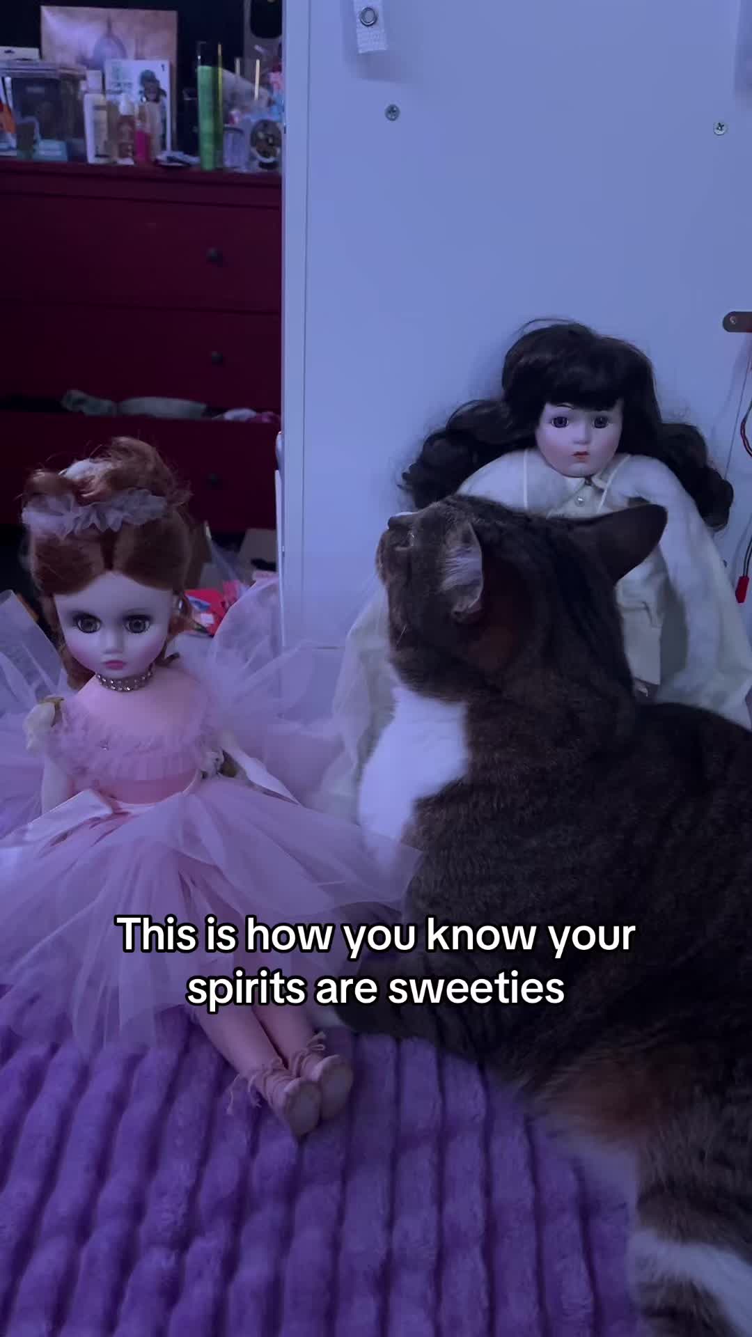 @gildedlimbs