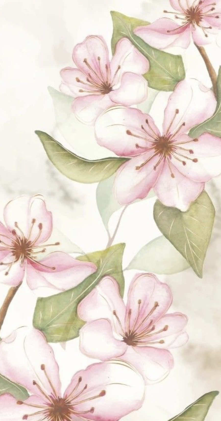 @𝓙𝓮𝓼𝓼𝓵𝔂𝓷 𝓜𝓪𝓻𝓲𝓪𝓱🎀