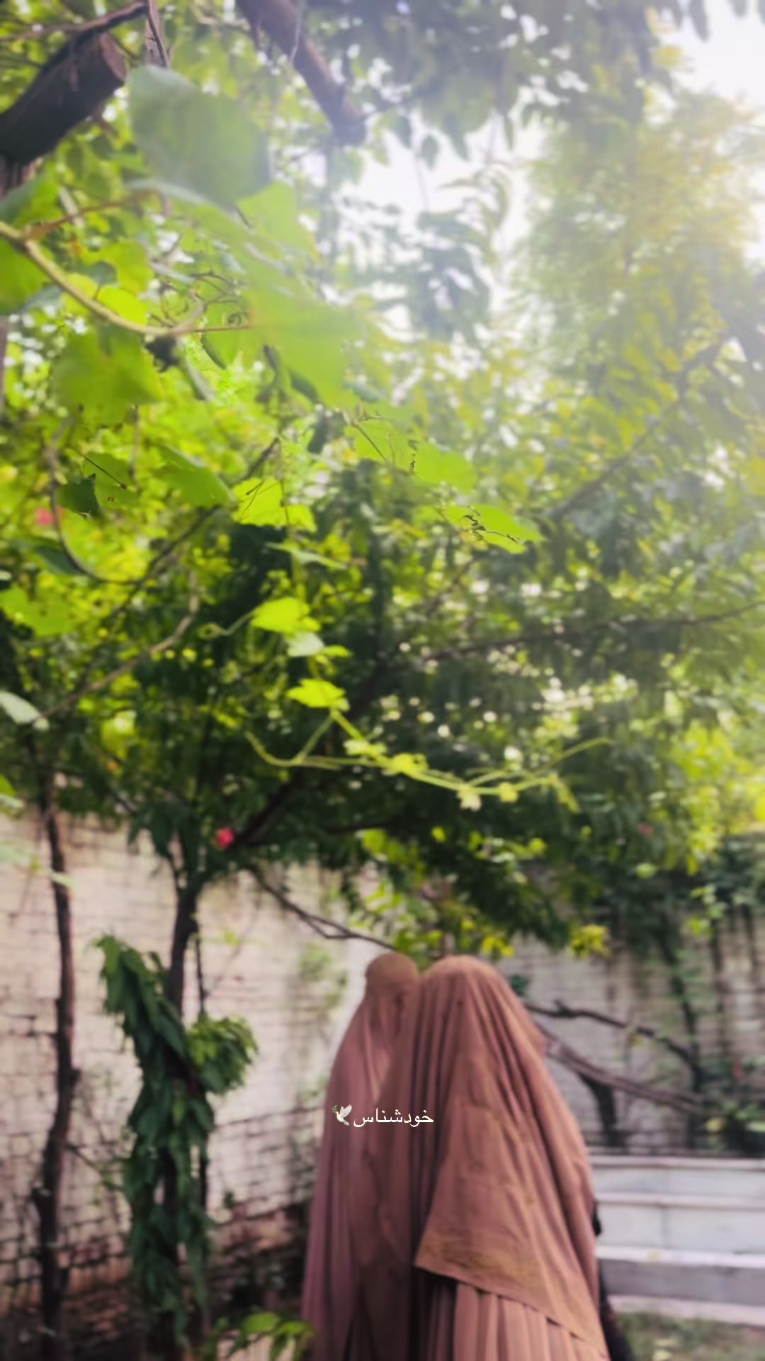 @خودشناس🕊️
