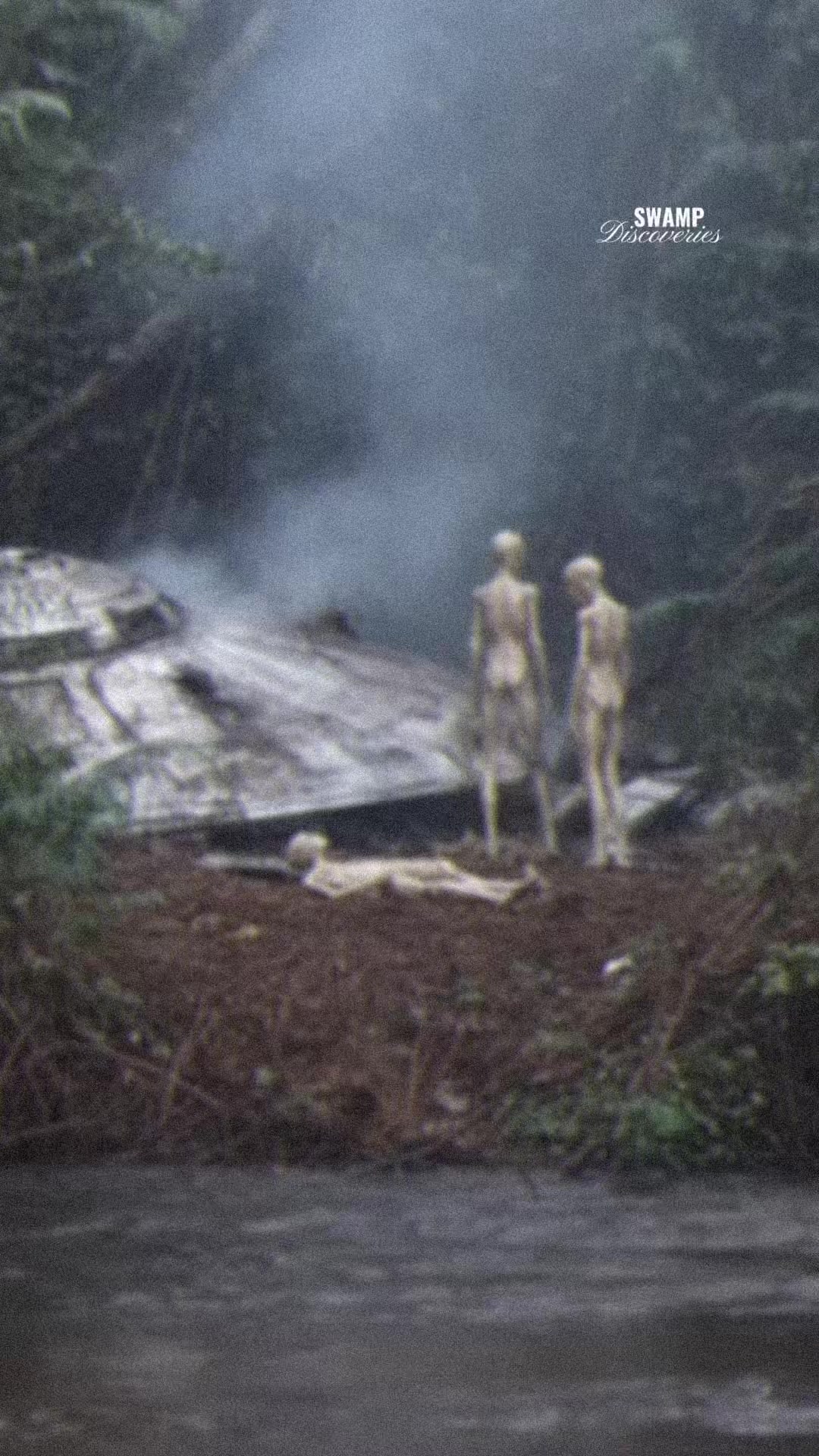 @SwampDiscoveries