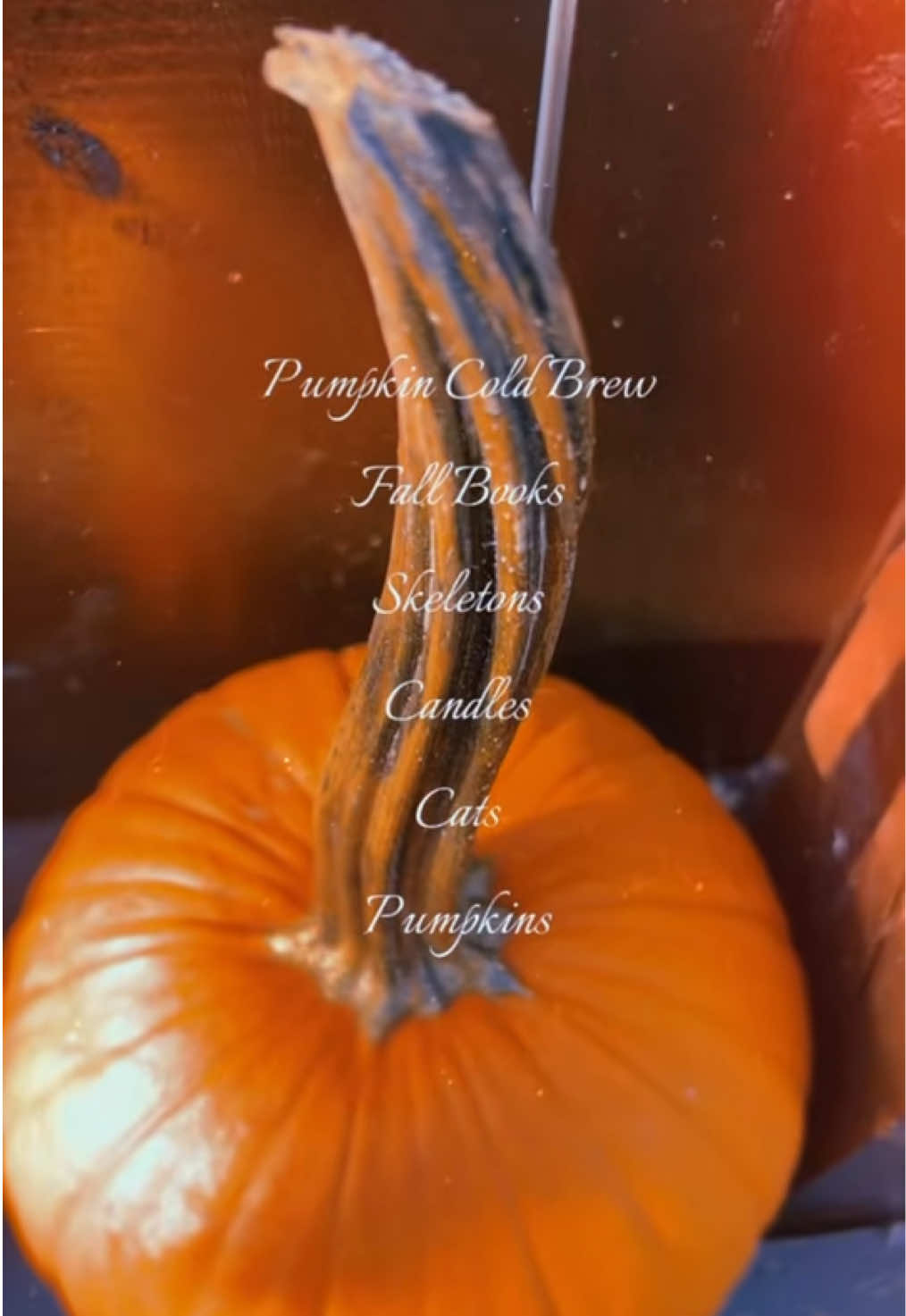 @Fall Girl Diaries ๐
