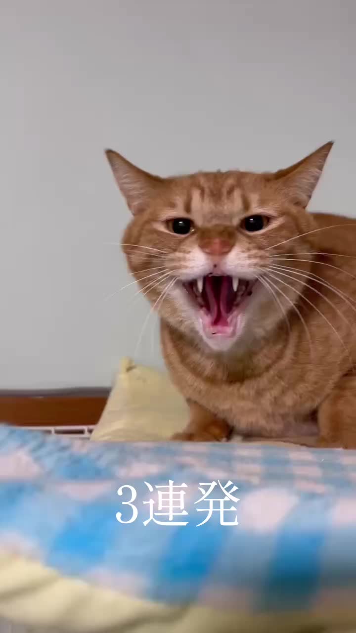 @らっくら家