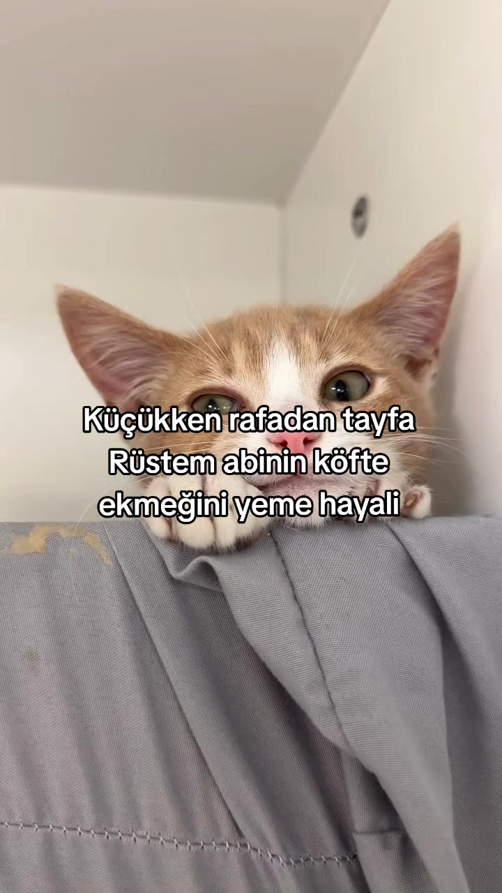 @rolland