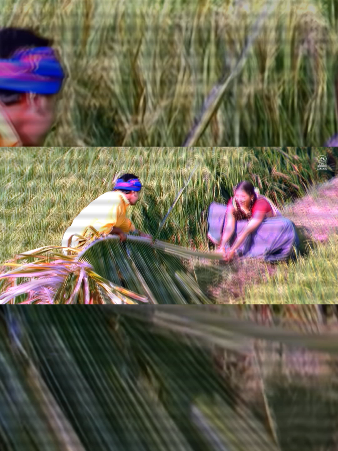 @djhecktic