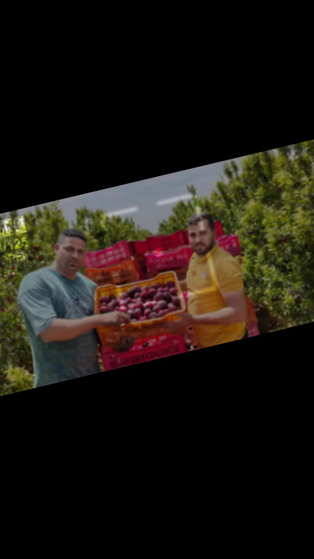@احمد عمر