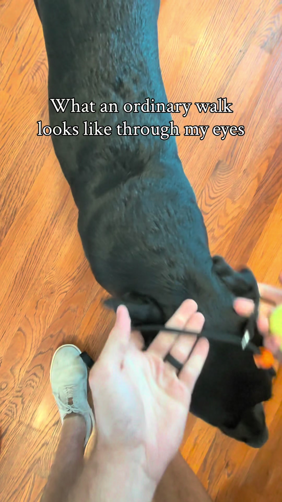 @Kasey and Crouton