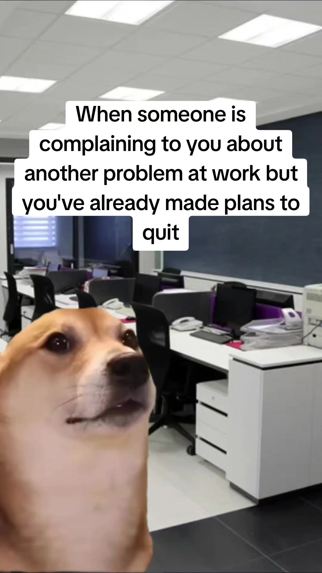 @Bye Boss | Toxic workplace