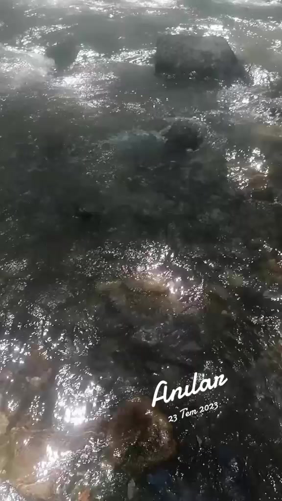 @konyalı Tuğba