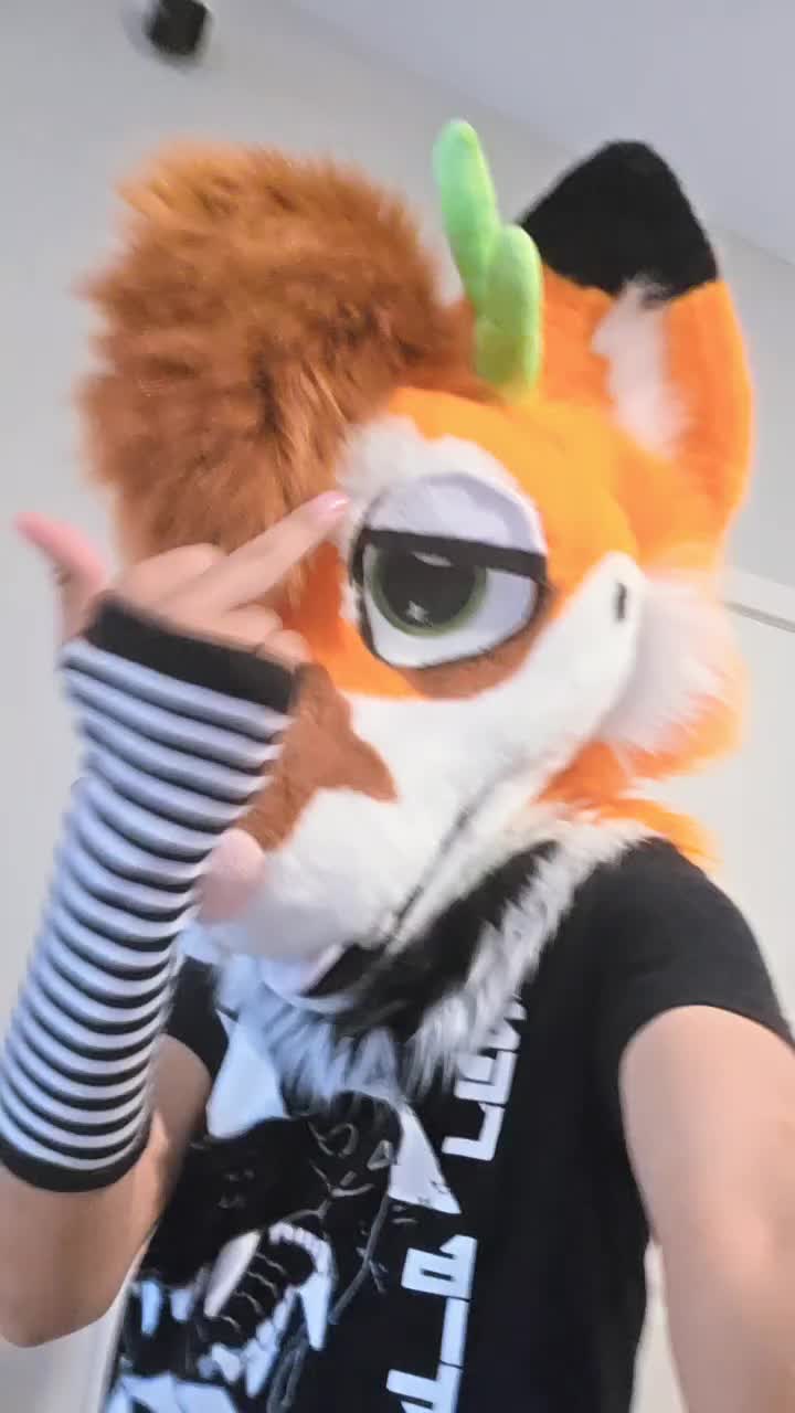 @mutt