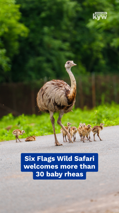 @KYW Newsradio