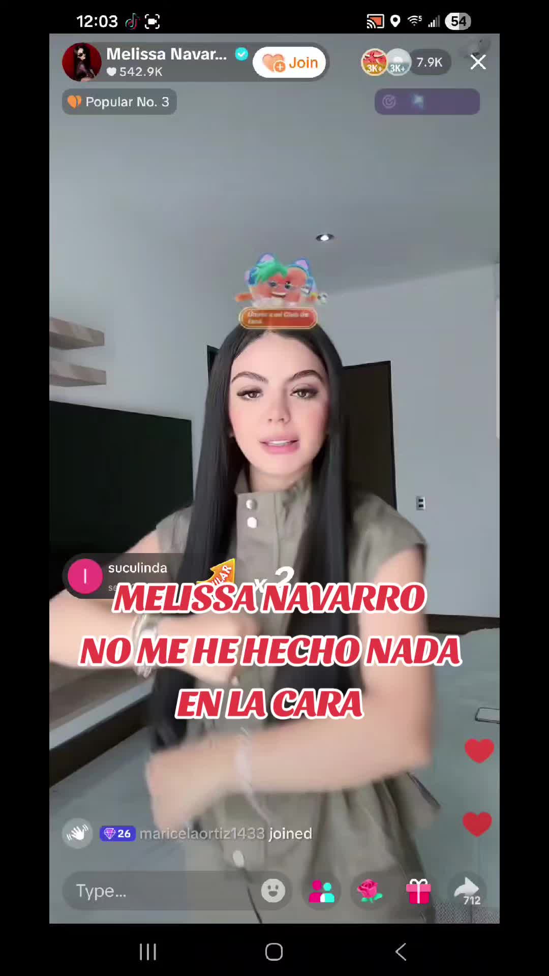 @maricelaortiz1433