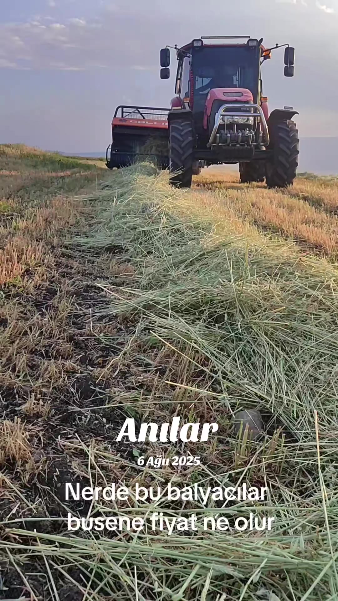 @Göksal Güneş