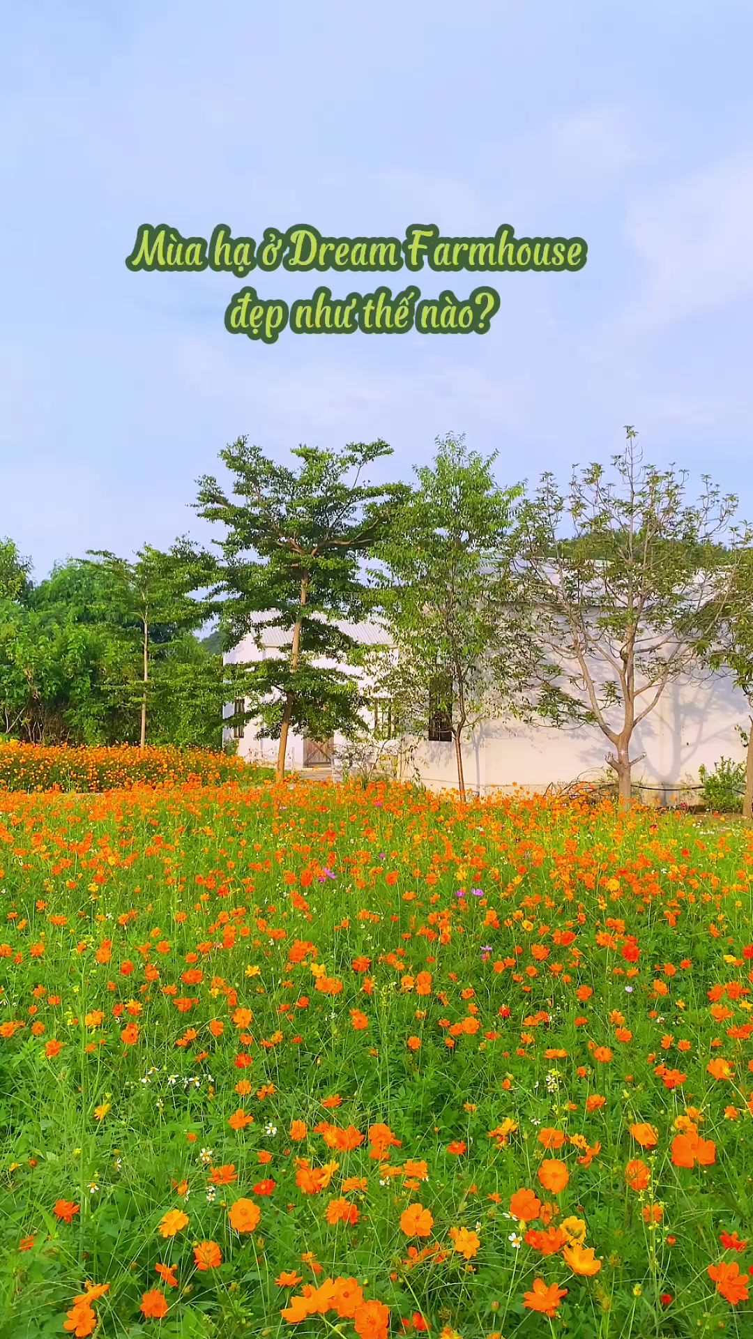 @Dream Farmhouse Mộc Châu