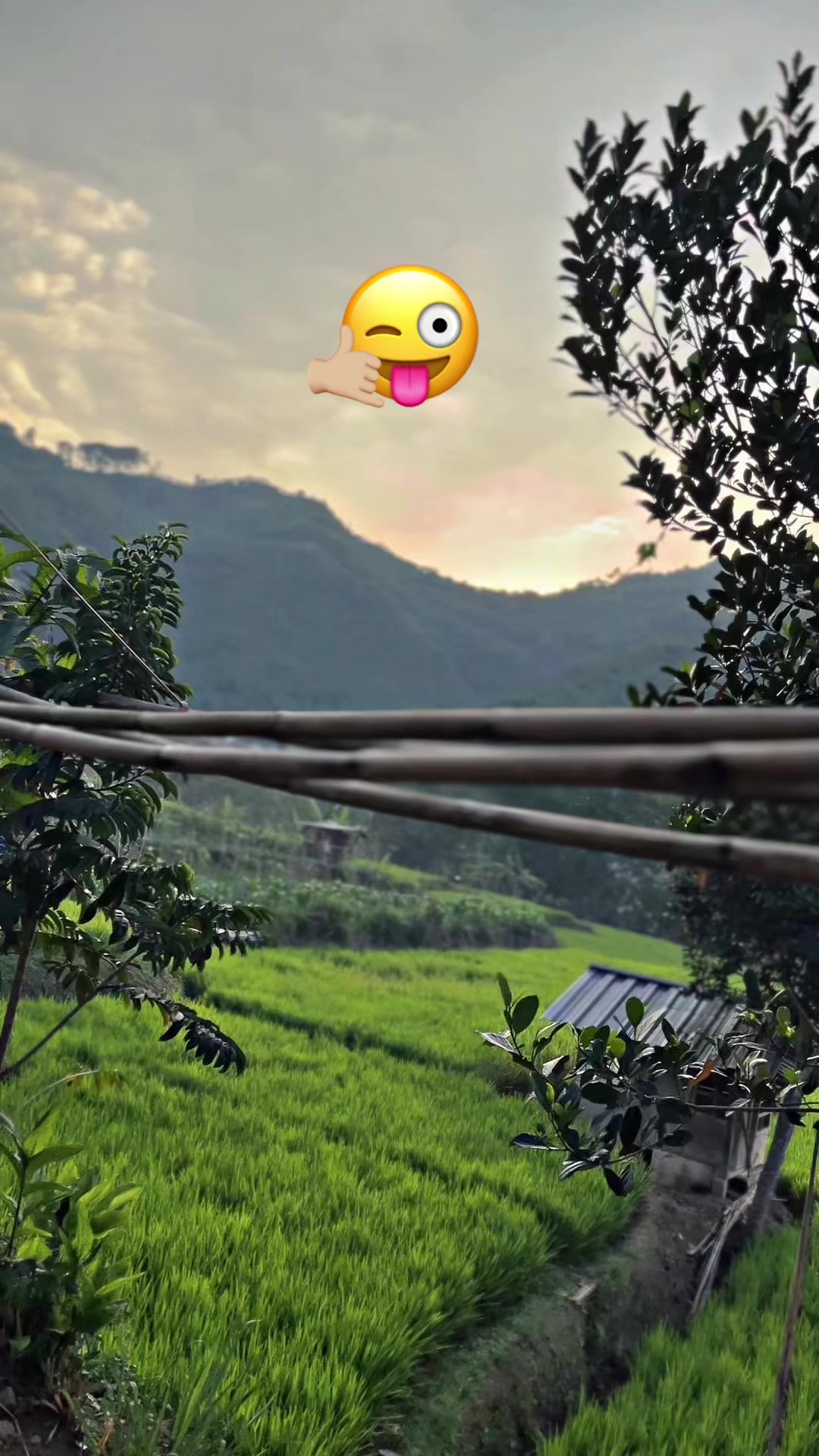@REISYA