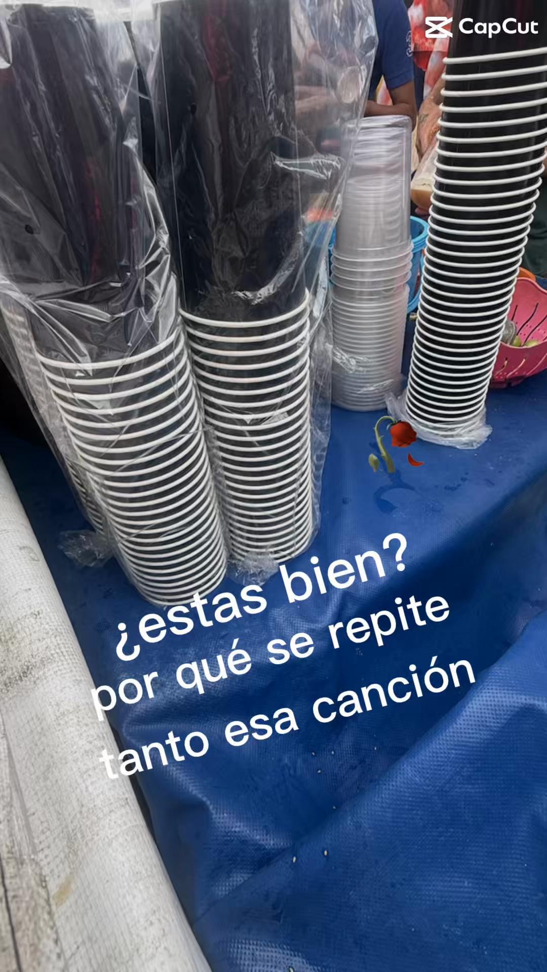 @Larissa Flores