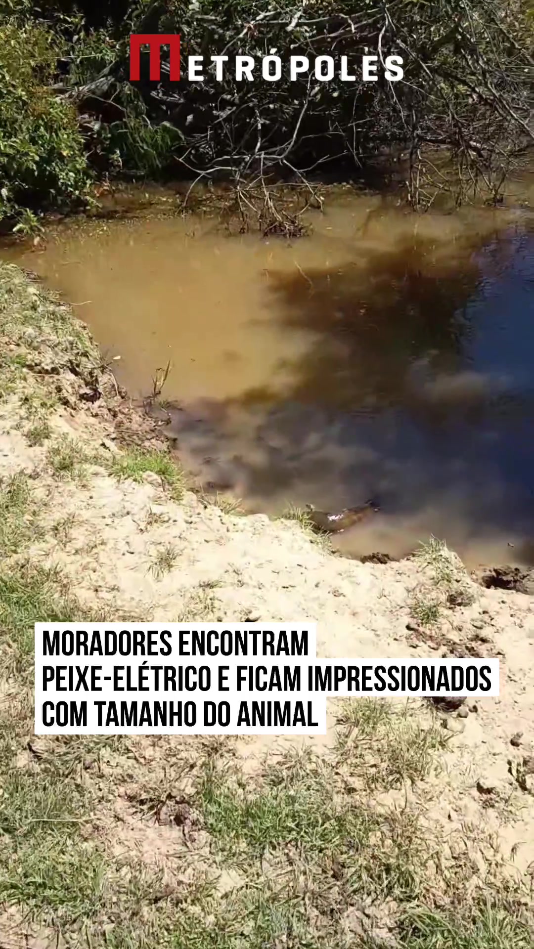 @Metr&oacute;poles Oficial