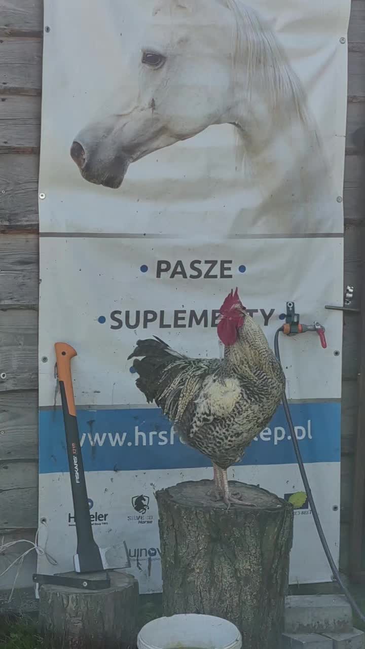 @Horspa
