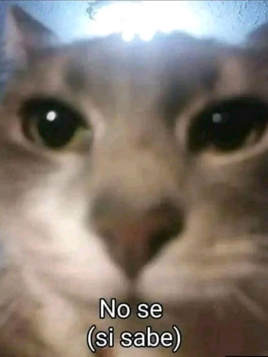 @Tiendita De Yui :3