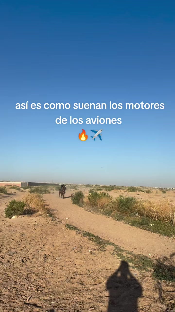 @carriles altos de jalisco🐎