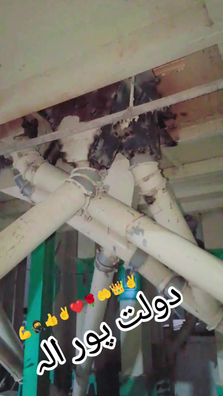 @احسان پردیسی 🌹