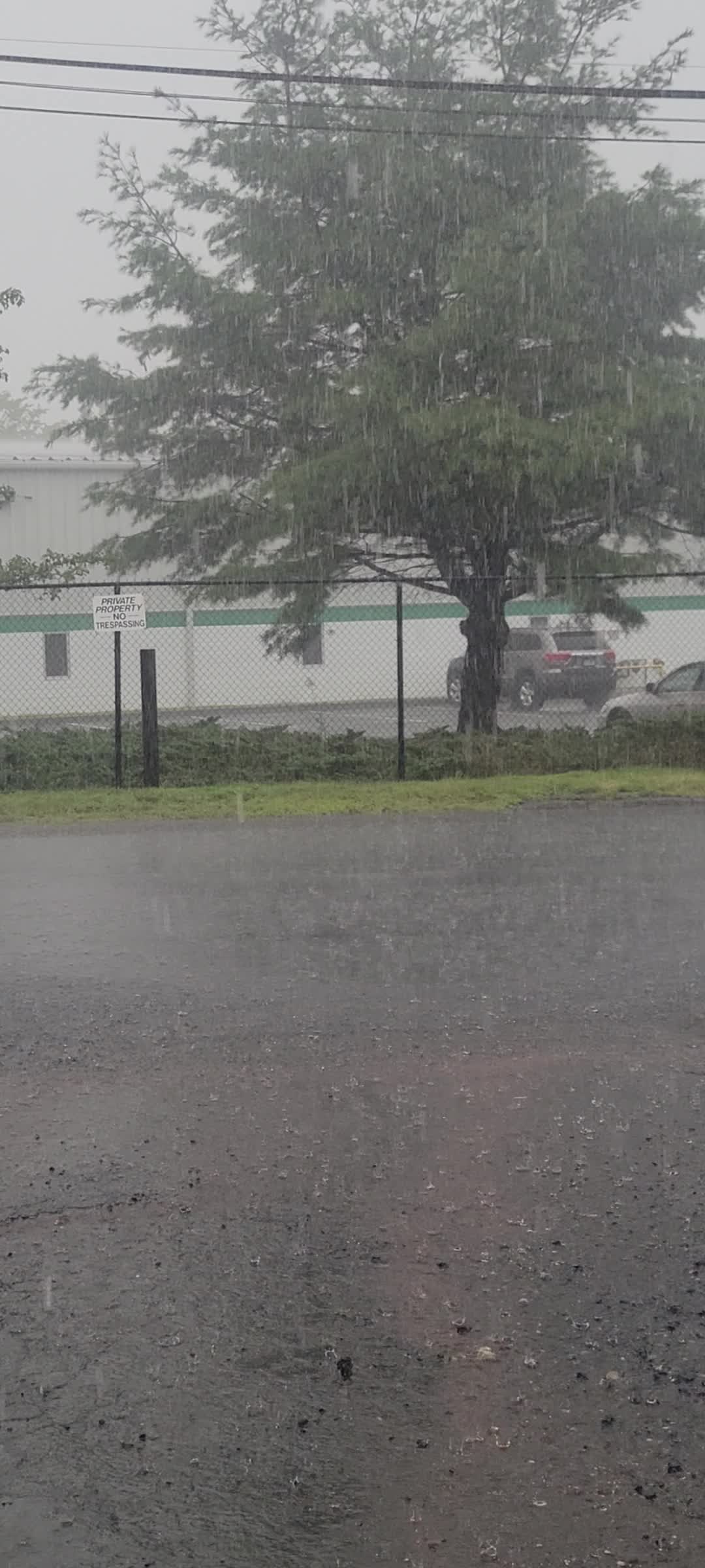 @Edenilson zepeda