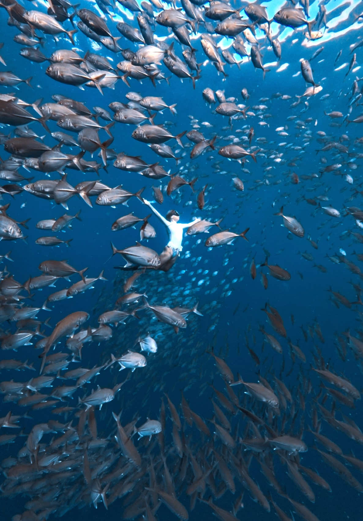 @@voltamazingfreediver