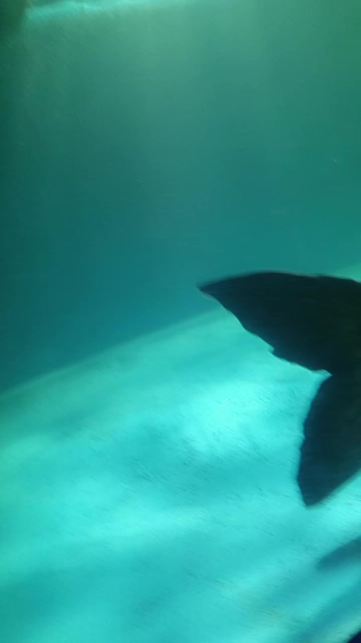 @đ§đŠāĻĒā§āϰāĻŋāϝāĻŧ āĻŦāĻŋāĻā§āϰāĻŽāĻĒā§āϰ, đ§đŠ