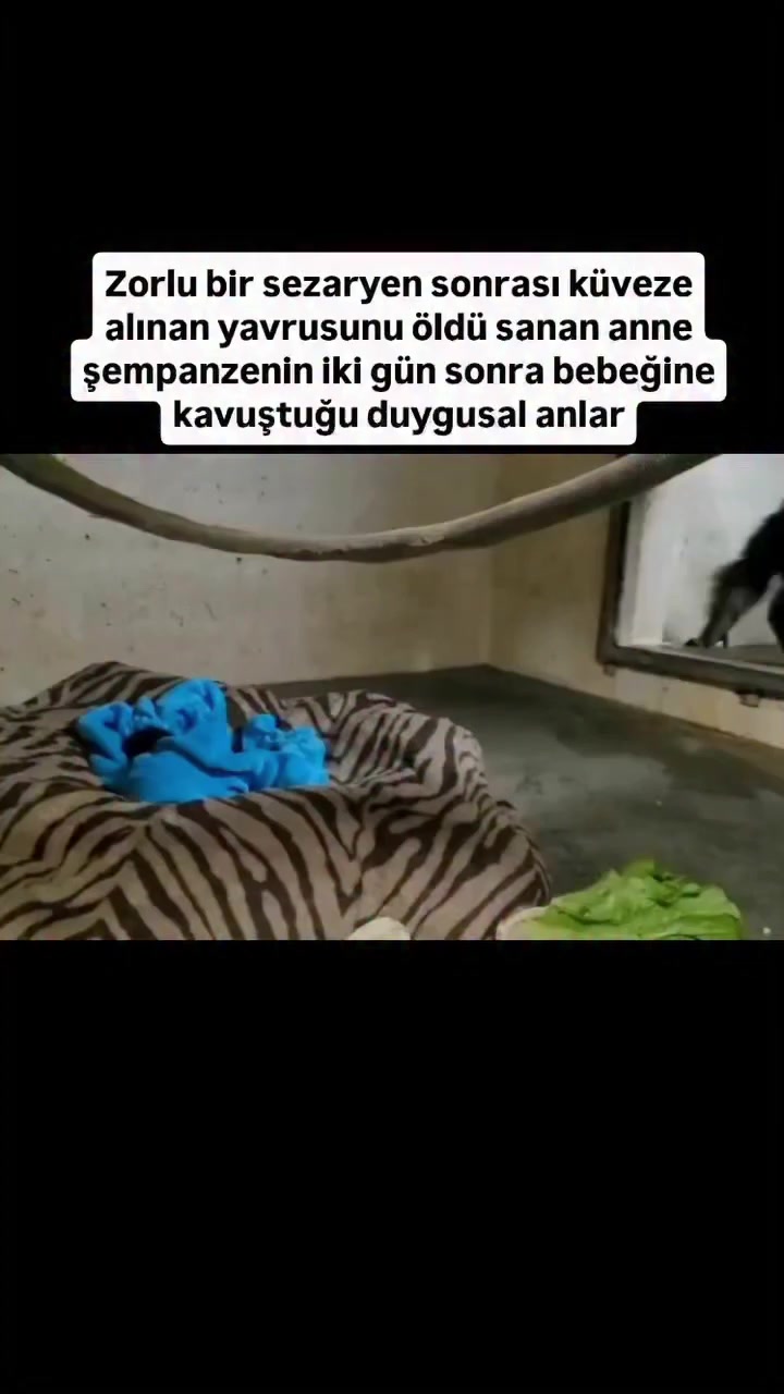 @✓kozmikansiklopedisi
