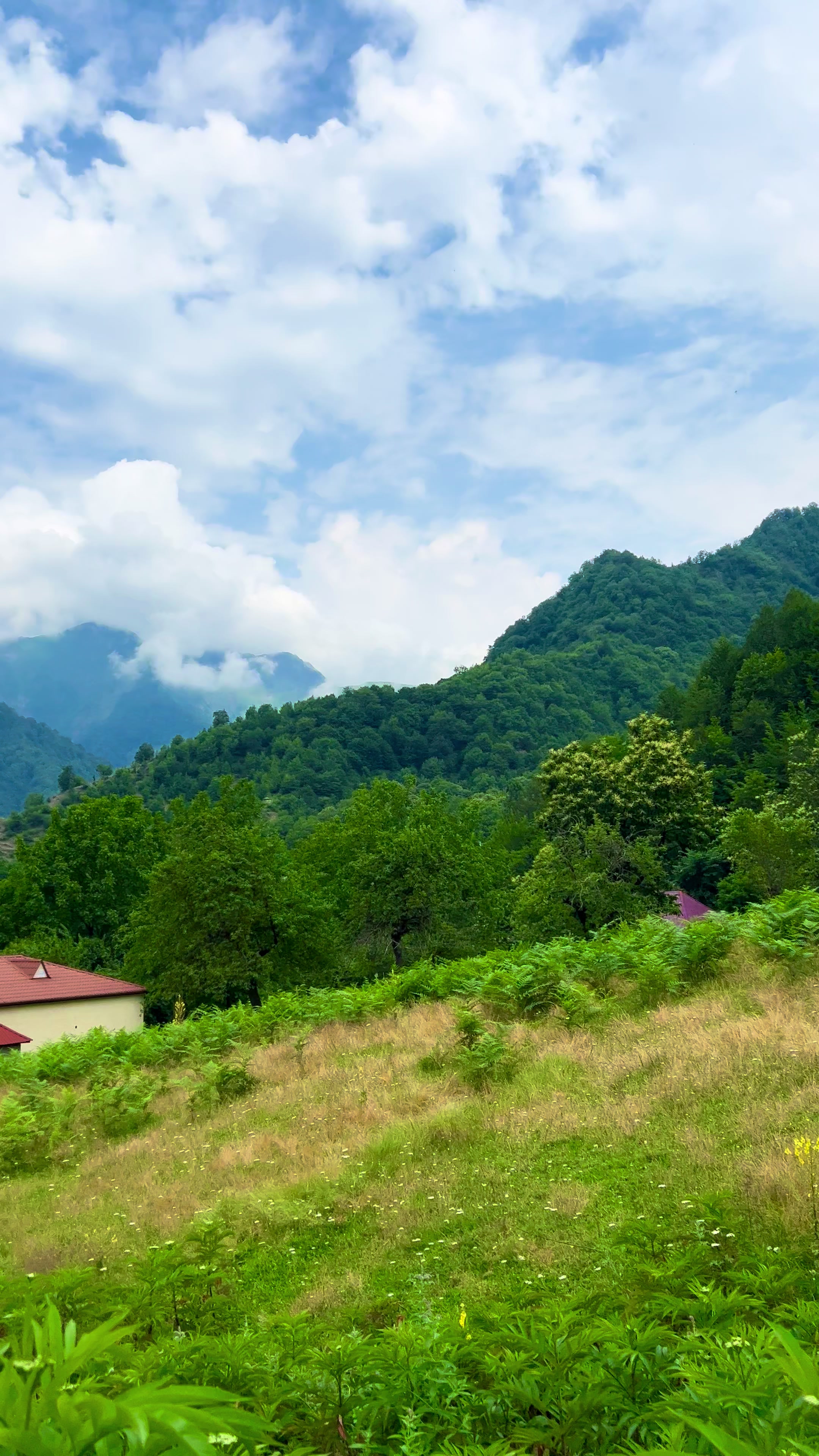 @𝑨𝒅𝒊𝒍𝒐𝒗🌿