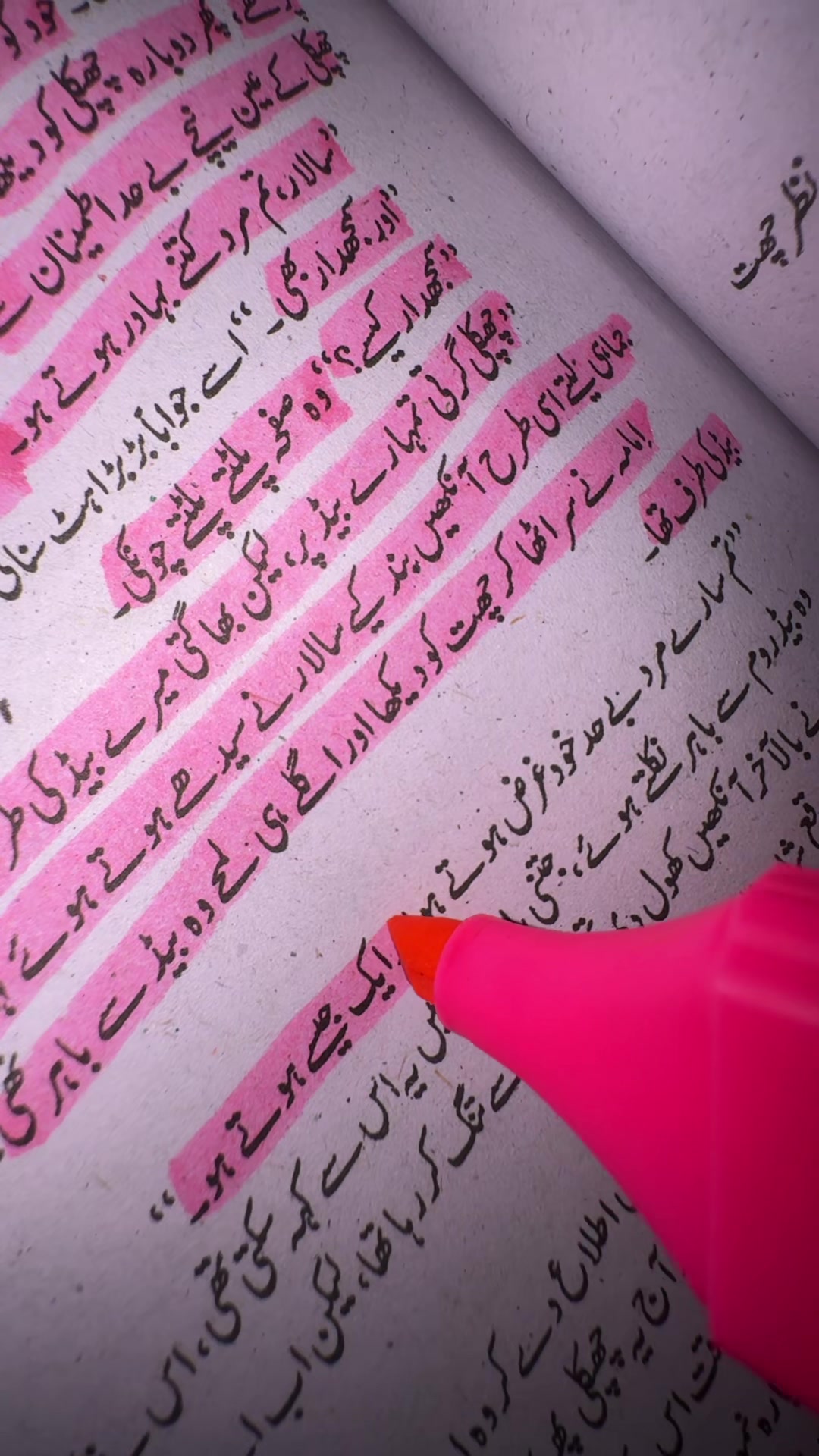 @حیانور✨