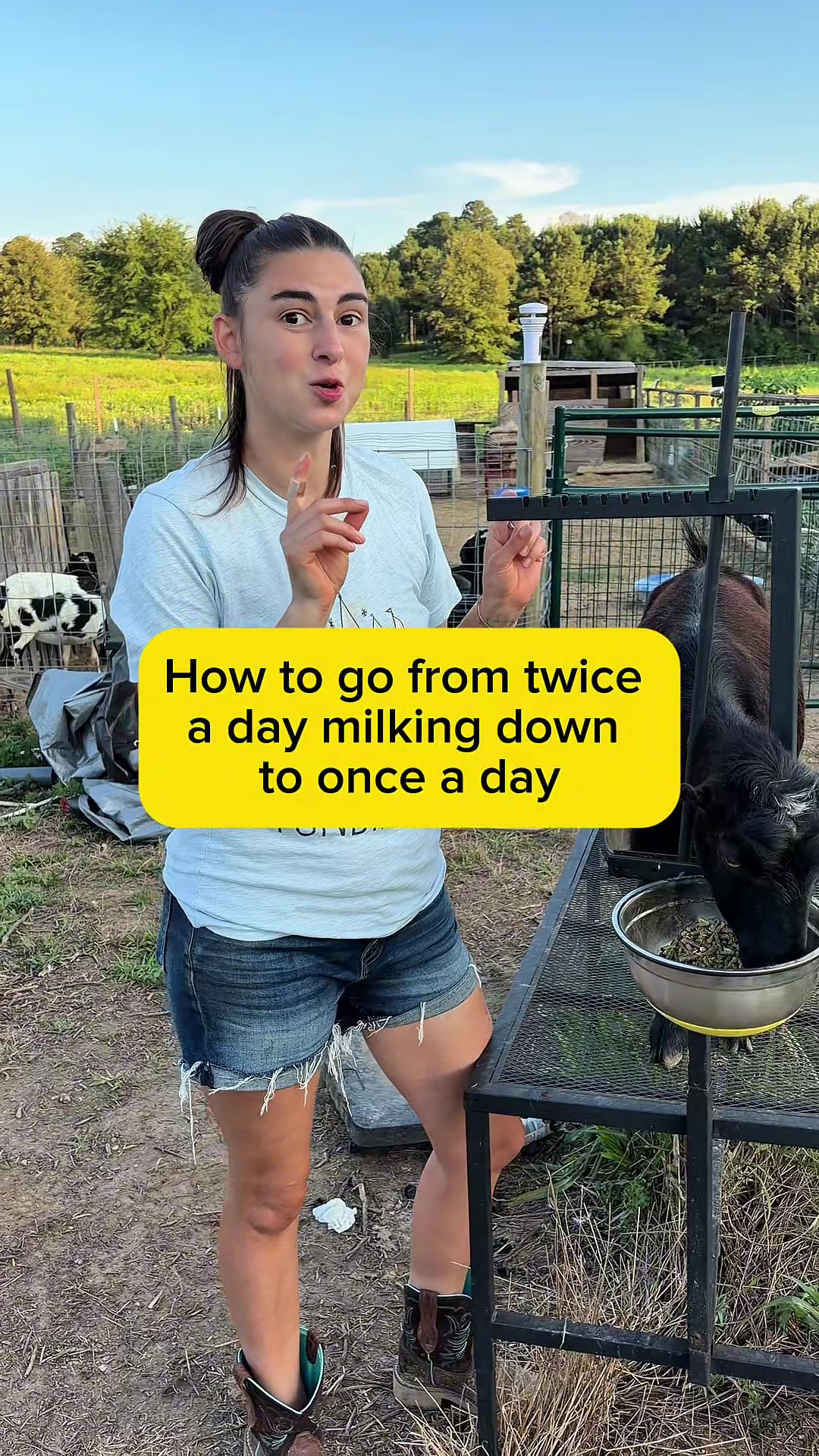 @Heart & Hoof Homestead