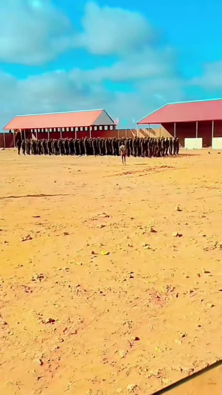 @Ayeeyo Xaliimo