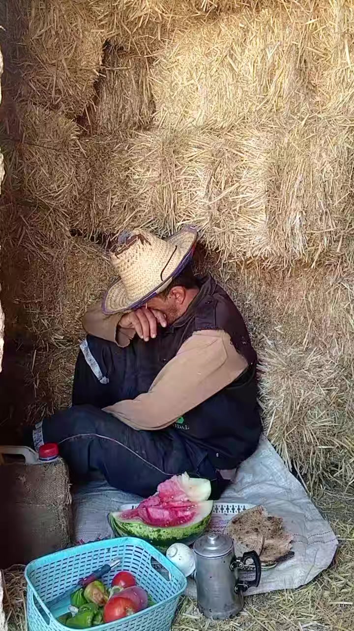 @ايوب جونيمار