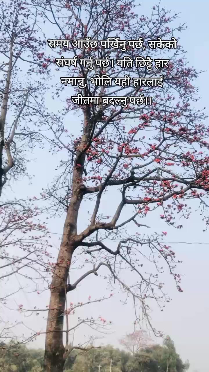 @Sanjana_02🌼💌❣️🥀☘️✨
