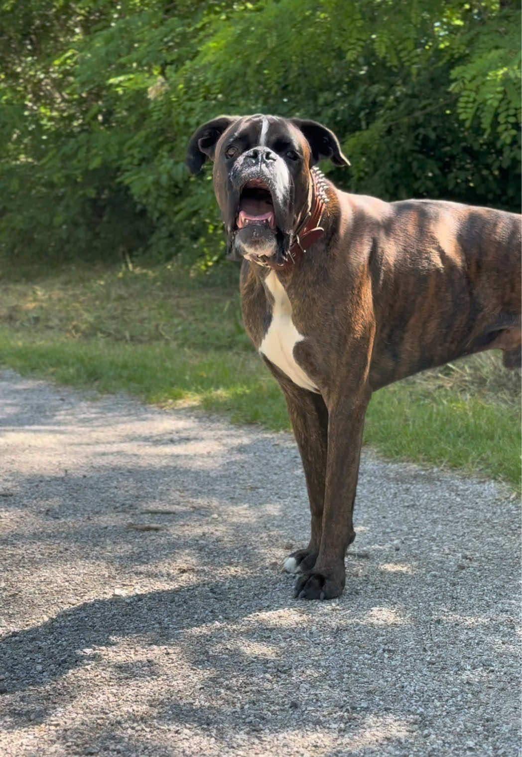 @Tot&ograve;