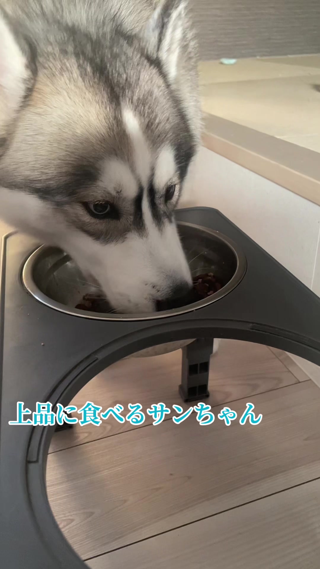 @サン☀️とムーン🌙