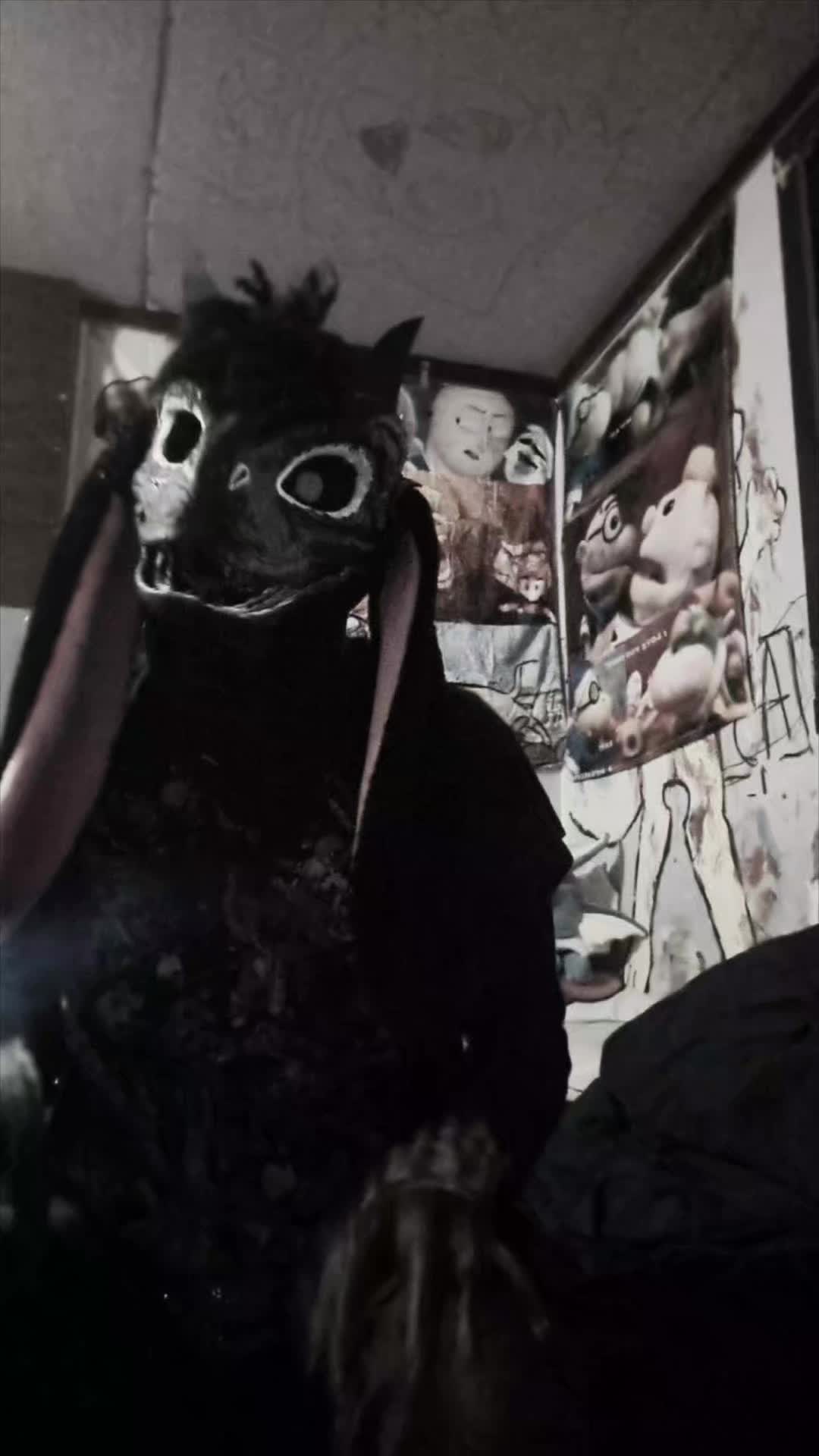 @sirmeowsalot HAVER 🐈⬛👔