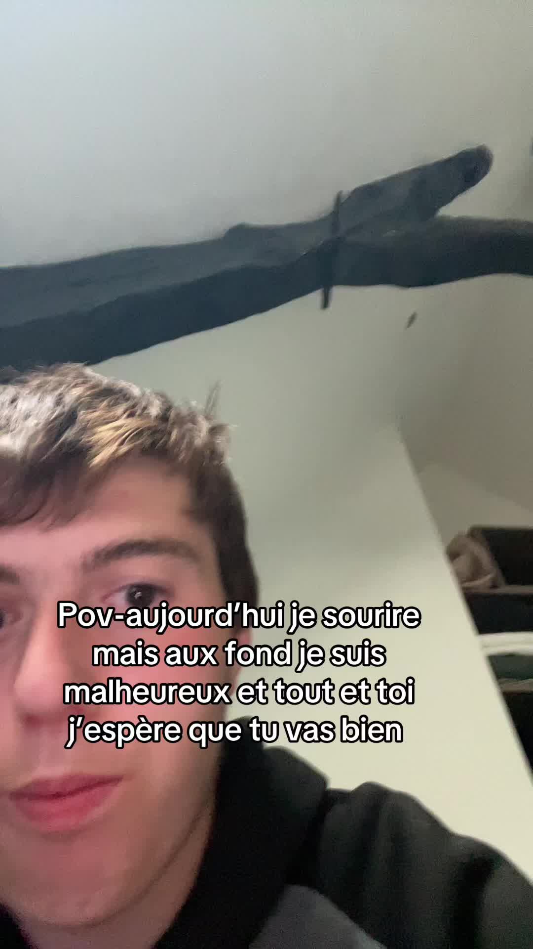 @Micro Bretagne