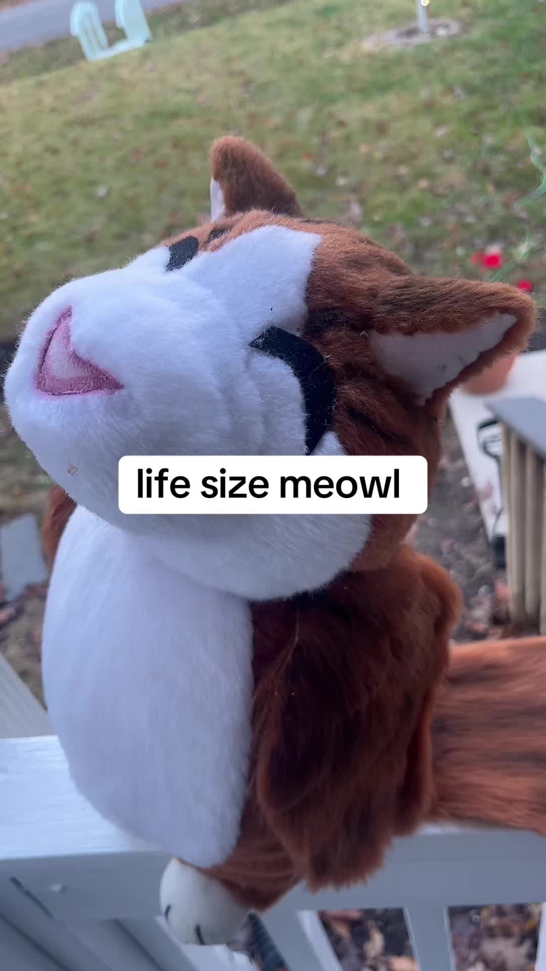 @slugpup_