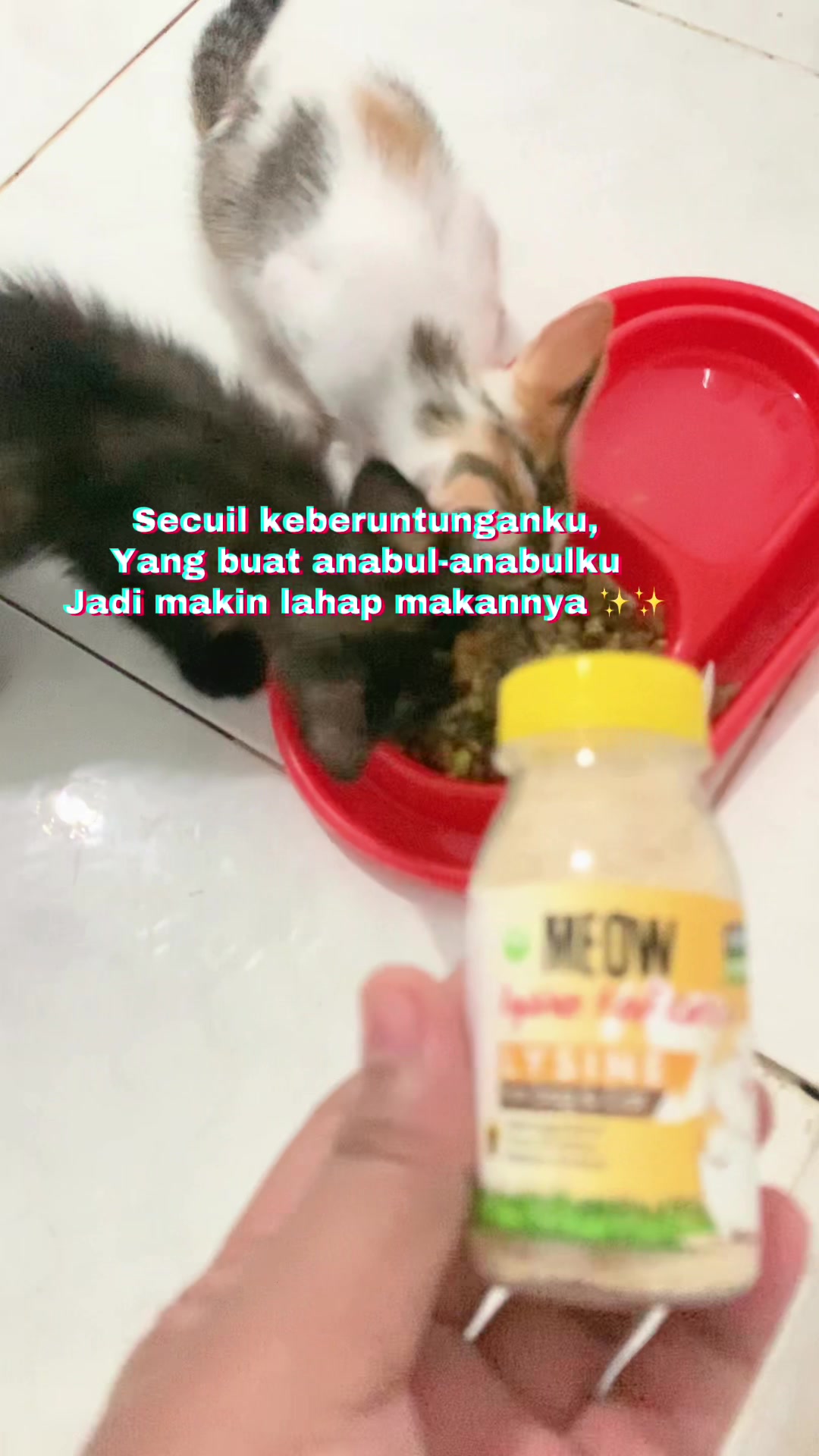 @bejaminsorui