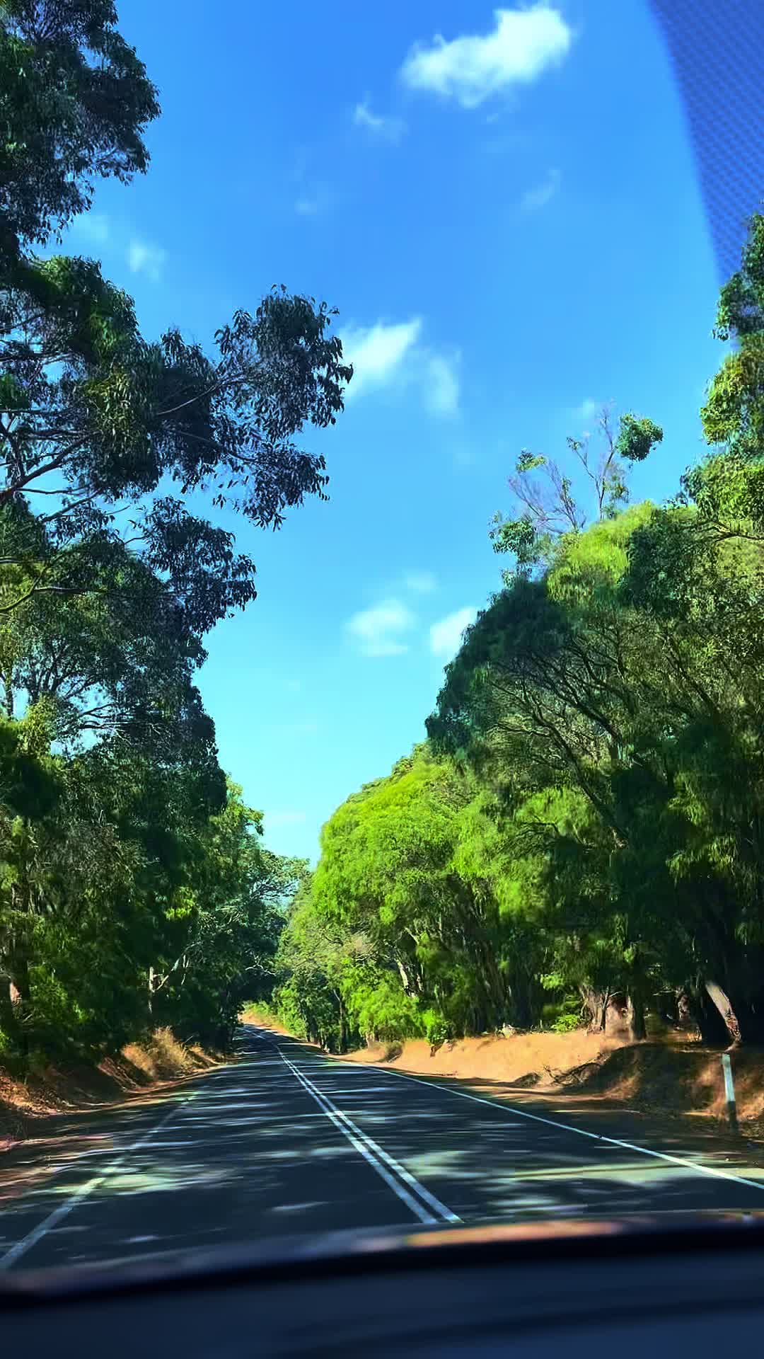@lovenature900
