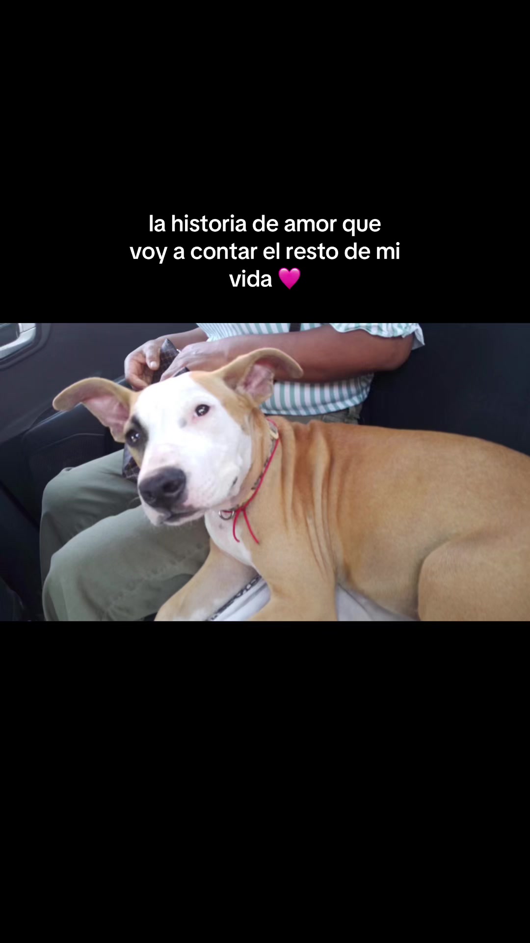 @Yeraldi💋🧸