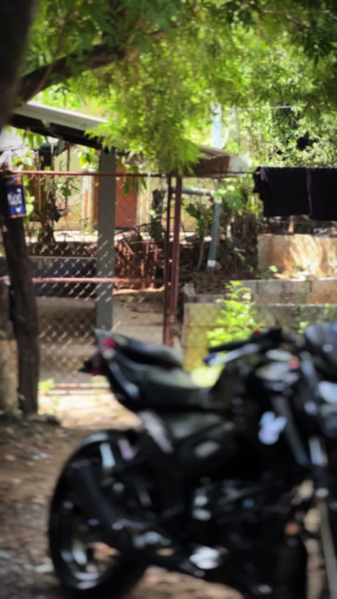 @🔥🥷 C A R L O S 🥷🔥