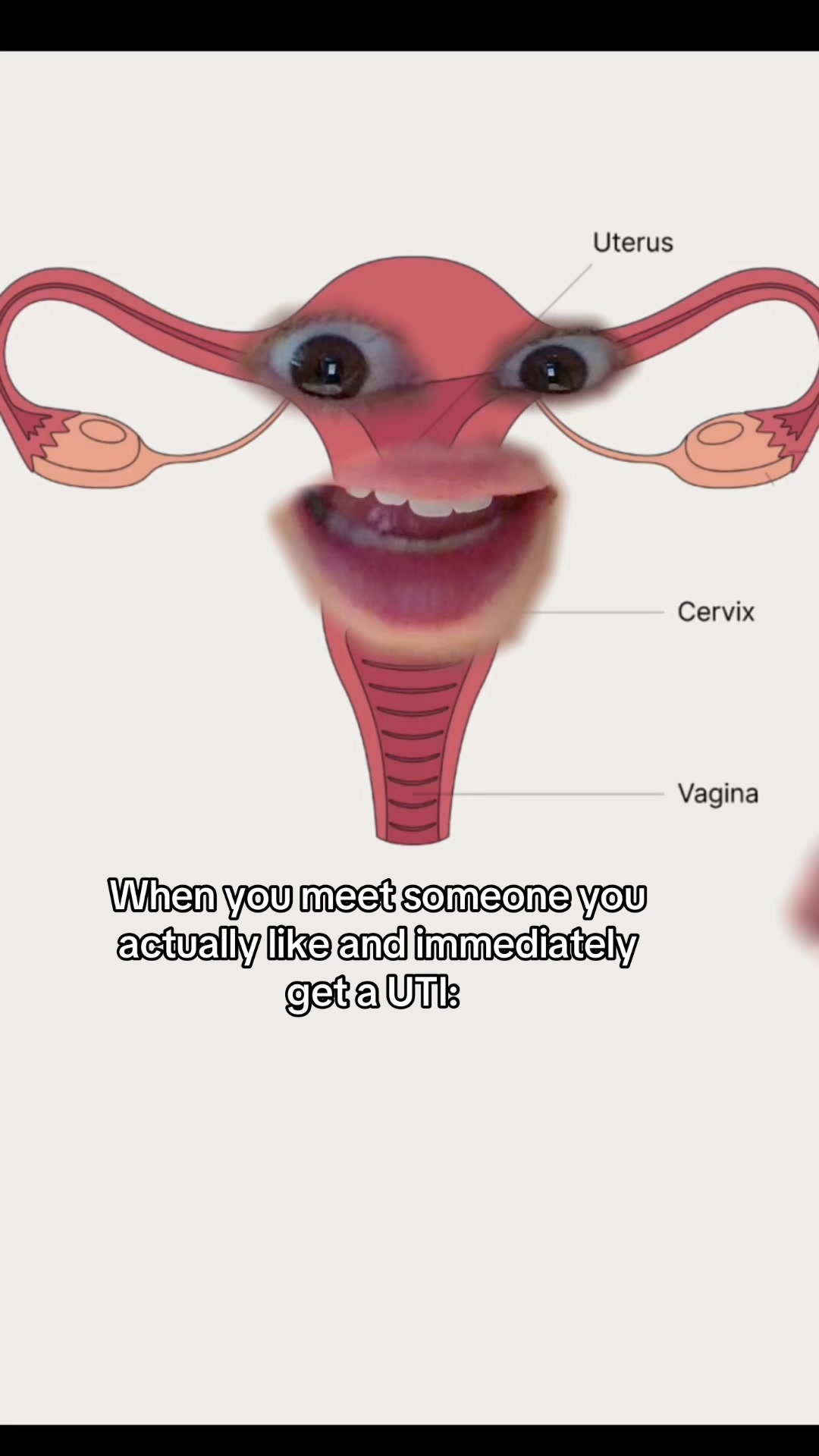 @Evvy