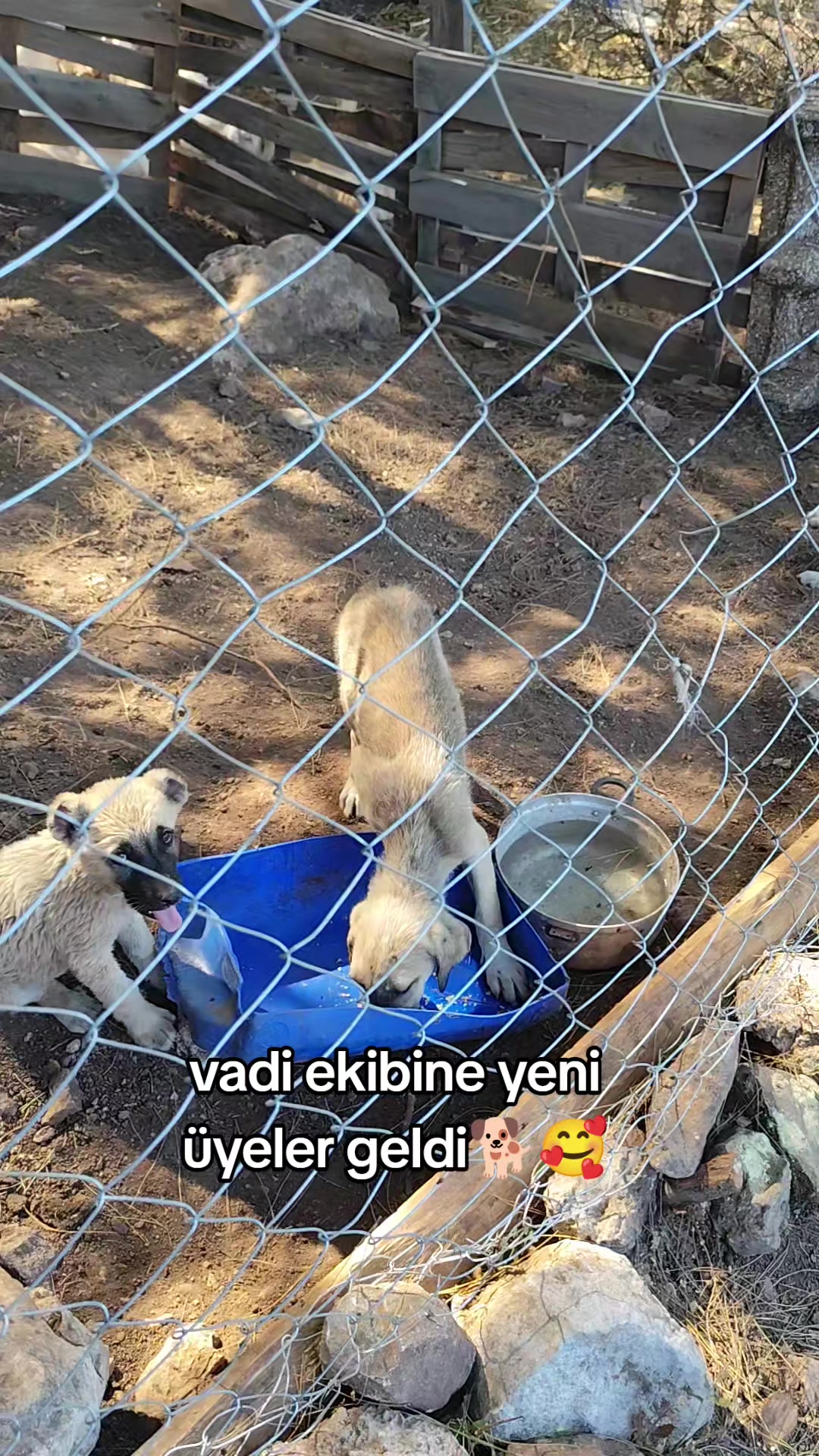 @PİSKO👉TOMBİK{45}