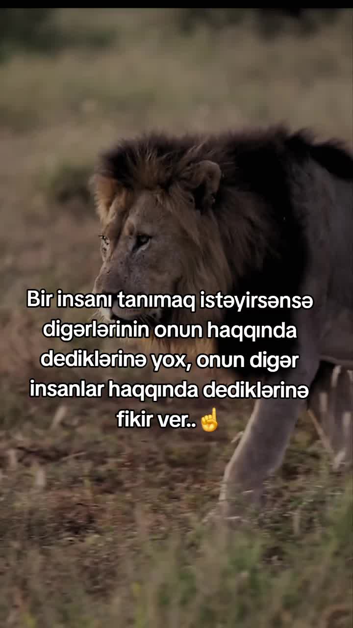 @Rəşad_Rəhimov