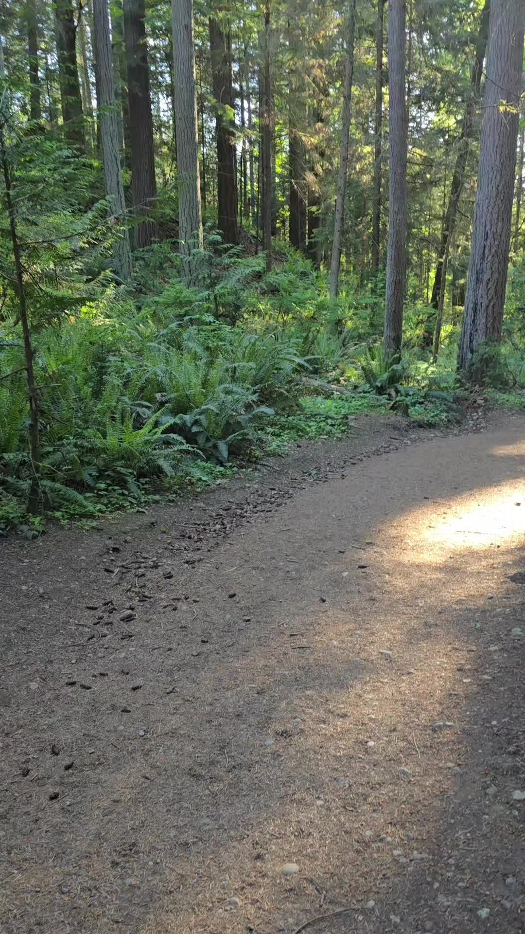 @Bondkinder_PNW